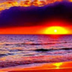 Meet your Posher, Daryll